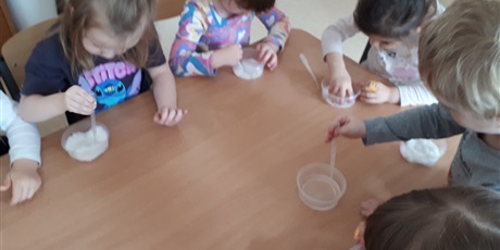 Powiększ grafikę: Siejemy rzeżuchę