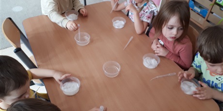 Powiększ grafikę: Siejemy rzeżuchę