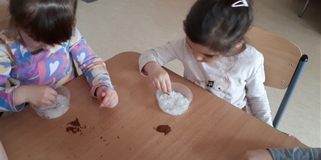 Powiększ grafikę: Siejemy rzeżuchę