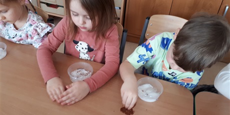 Powiększ grafikę: Siejemy rzeżuchę