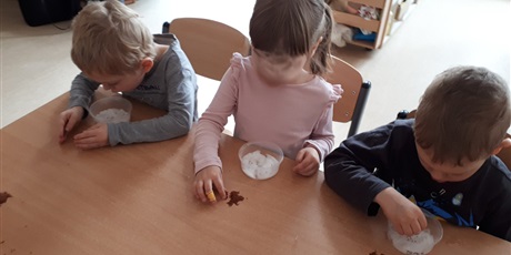 Powiększ grafikę: Siejemy rzeżuchę