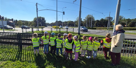 Powiększ grafikę: Spacer do lasu i na skrzyżowanie