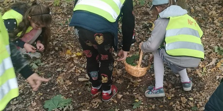 Powiększ grafikę: Spacer po lesie w poszukiwaniu darów jesieni:)))