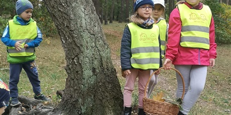 Powiększ grafikę: Spacer po lesie w poszukiwaniu darów jesieni:)))