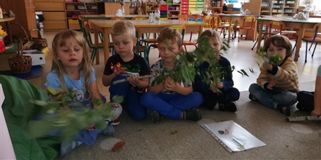 Powiększ grafikę: Swobodne zabawy Chochlików
