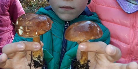 Powiększ grafikę: W poszukiwaniu jesieni