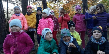 Powiększ grafikę: W poszukiwaniu jesieni