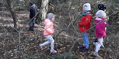 Powiększ grafikę: W poszukiwaniu jesieni