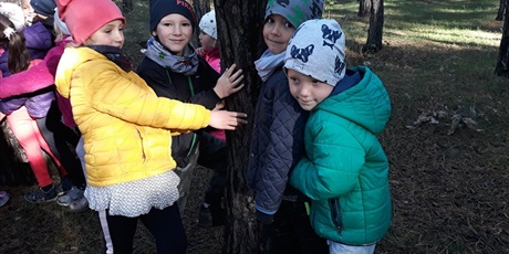 Powiększ grafikę: W poszukiwaniu jesieni