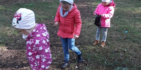 Powiększ grafikę: W poszukiwaniu jesieni