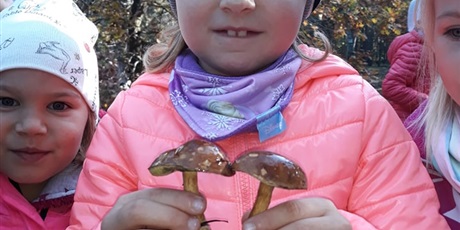 Powiększ grafikę: W poszukiwaniu jesieni