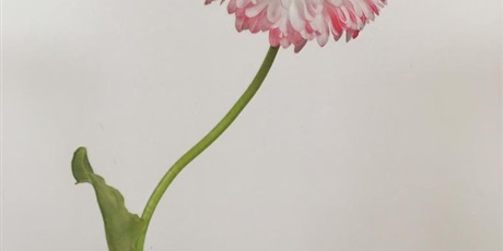 Powiększ grafikę: Wiosenne kwiatki Krasnoludków
