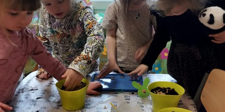 Powiększ grafikę: Wiosenny ogródek 