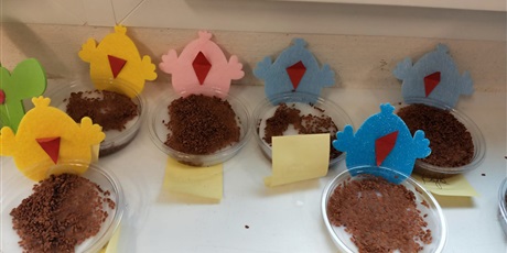 Powiększ grafikę: Wiosenny ogródek 