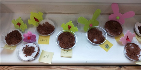 Powiększ grafikę: Wiosenny ogródek 