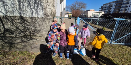 Powiększ grafikę: Wiosenny ogródek .Sadzimy cebulkę.