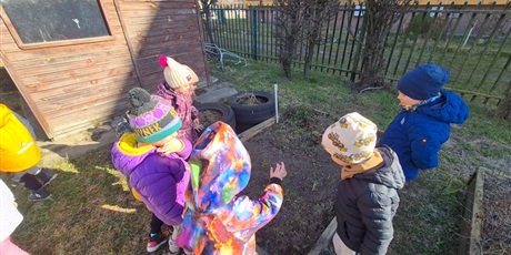 Powiększ grafikę: Wiosenny ogródek .Sadzimy cebulkę.