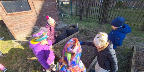 Powiększ grafikę: Wiosenny ogródek .Sadzimy cebulkę.