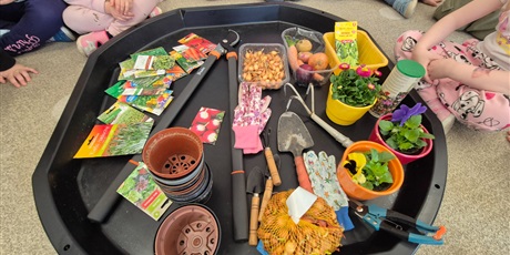 Powiększ grafikę: Wiosenny ogródek .Sadzimy cebulkę.