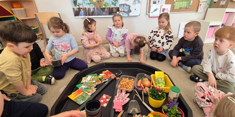 Powiększ grafikę: Wiosenny ogródek .Sadzimy cebulkę.