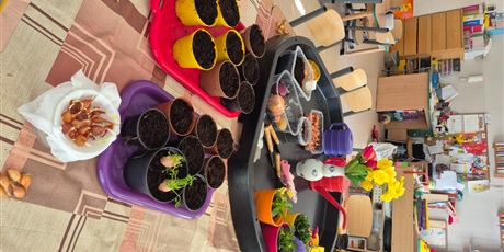 Powiększ grafikę: Wiosenny ogródek .Sadzimy cebulkę.