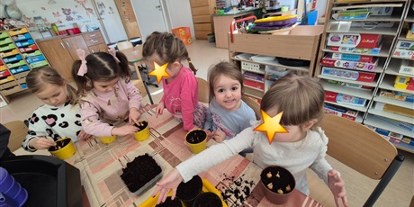 Powiększ grafikę: Wiosenny ogródek .Sadzimy cebulkę.