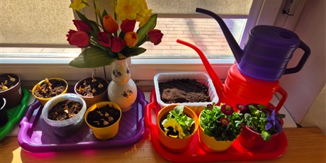 Powiększ grafikę: Wiosenny ogródek .Sadzimy cebulkę.