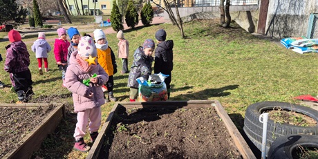 Powiększ grafikę: Wiosenny ogródek .Sadzimy cebulkę.
