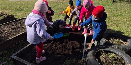 Powiększ grafikę: Wiosenny ogródek .Sadzimy cebulkę.