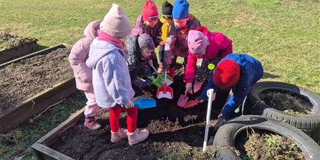 Powiększ grafikę: Wiosenny ogródek .Sadzimy cebulkę.