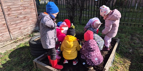 Powiększ grafikę: Wiosenny ogródek .Sadzimy cebulkę.