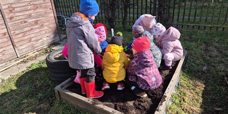 Powiększ grafikę: Wiosenny ogródek .Sadzimy cebulkę.