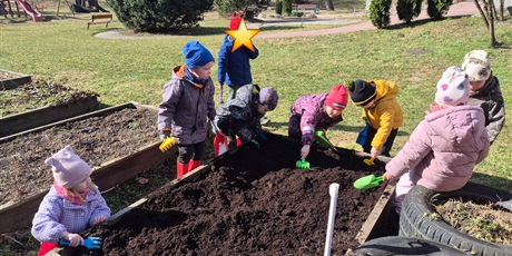 Powiększ grafikę: Wiosenny ogródek .Sadzimy cebulkę.