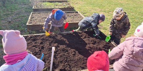 Powiększ grafikę: Wiosenny ogródek .Sadzimy cebulkę.