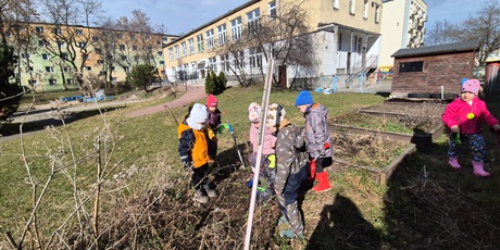 Powiększ grafikę: Wiosenny ogródek .Sadzimy cebulkę.