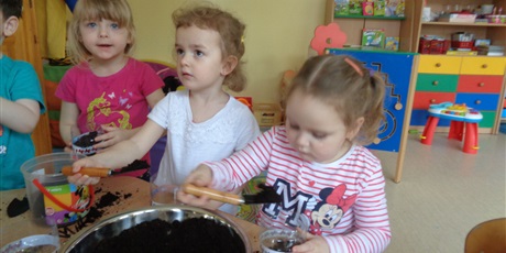 Powiększ grafikę: Wiosenny ogródek w sali u Krasnoludków