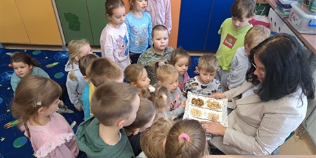 Powiększ grafikę: Wizyta w SP20