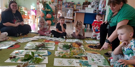 Powiększ grafikę: Zajęcia na temat jesieni w lesie