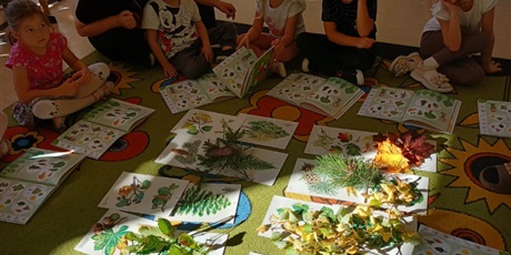 Powiększ grafikę: Zajęcia na temat jesieni w lesie
