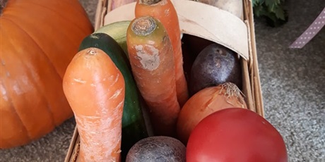 Powiększ grafikę: Zajęcia o owocach i warzywach