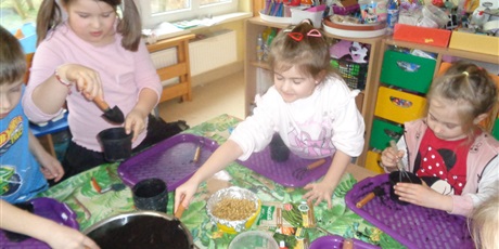 Powiększ grafikę: Zakładanie ogródka