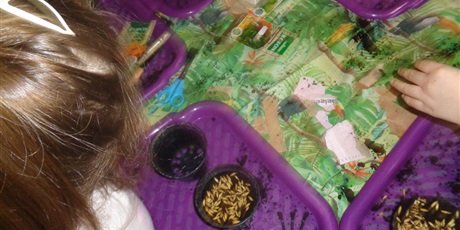 Powiększ grafikę: Zakładanie ogródka