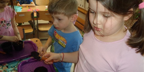 Powiększ grafikę: Zakładanie ogródka