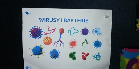 Powiększ grafikę: Warsztaty ,,Wirusy i bakterie"